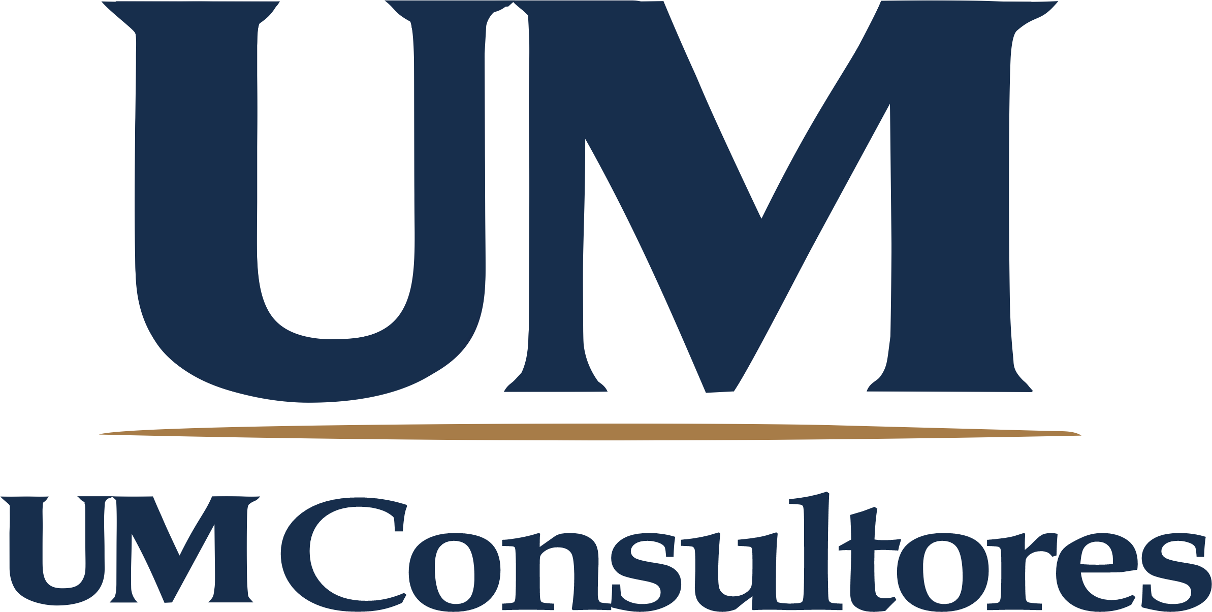 UM Consultores